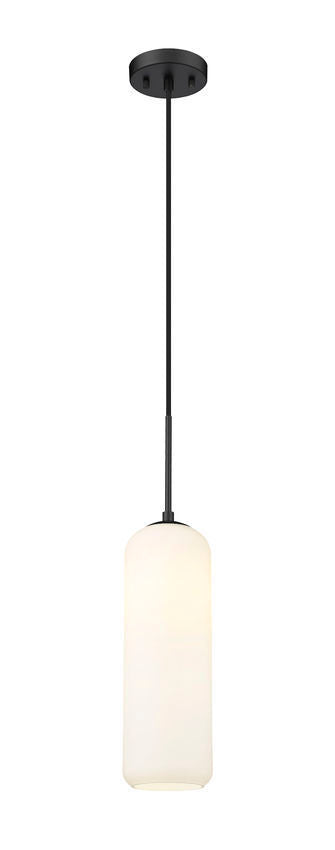 Steel Frame with Capsule Like Glass Shade Pendant