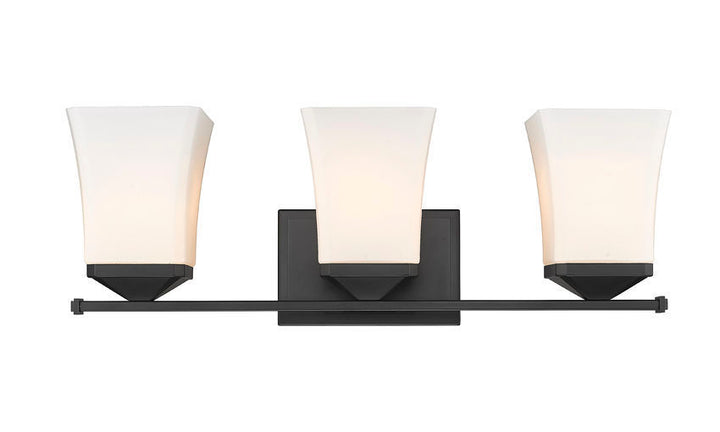 Steel Frame with Etched Opal Glass Shade Vanity Light