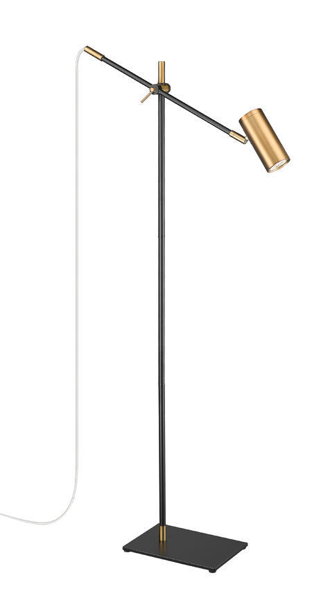 Steel Rod with Adjustable Arm Floor Lamp
