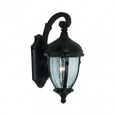 Oil Rubbed Bronze Frame with Clear Bubble Glass Shade Outdoor Wall Sconce - LV LIGHTING