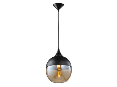 Steel Frame with Clear Glass Shade Pendant