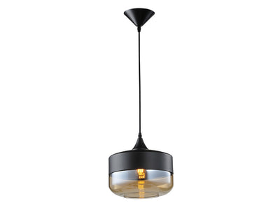 Steel Frame with Clear Glass Shade Pendant