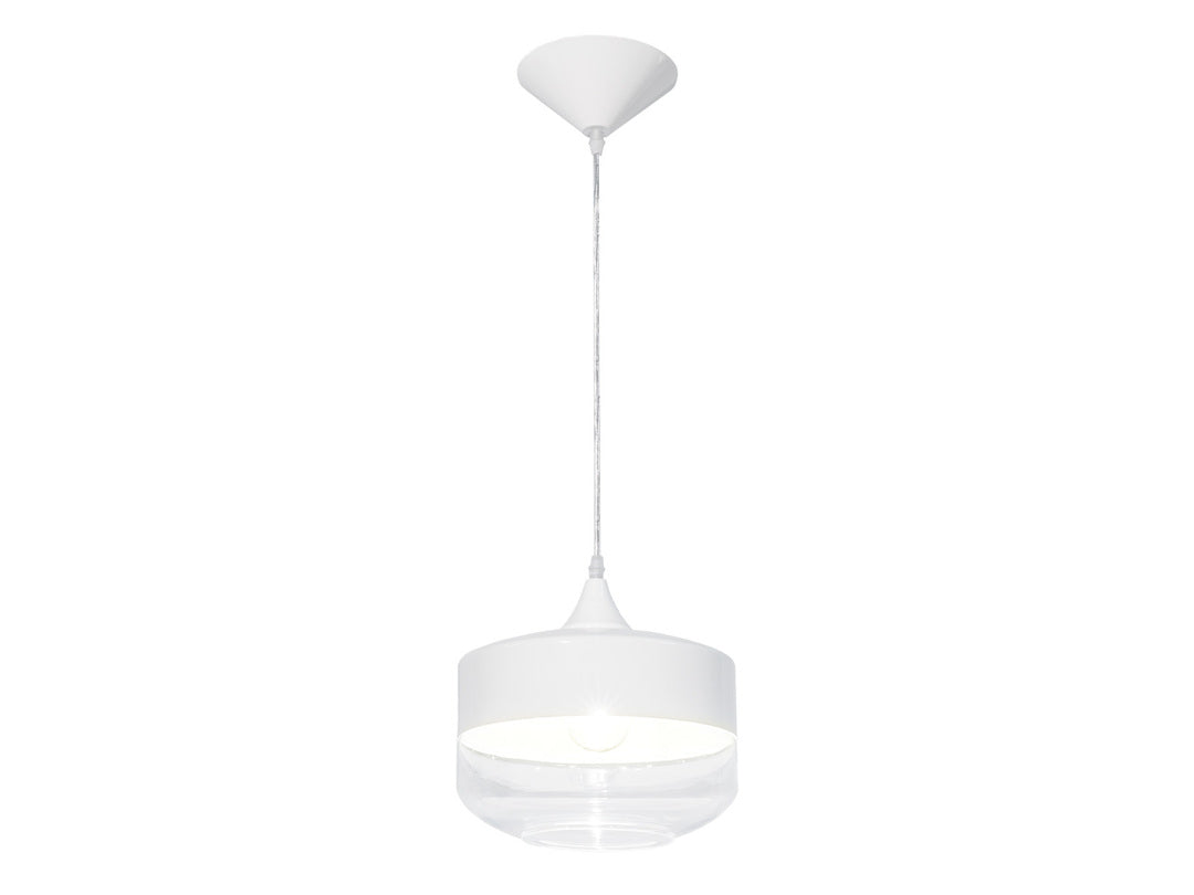 Steel Frame with Clear Glass Shade Pendant