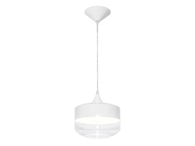 Steel Frame with Clear Glass Shade Pendant