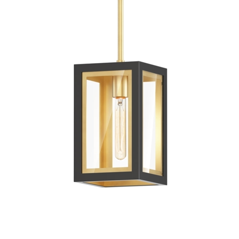 Steel Two Tone Frame with Clear Glass Diffuser Outdoor Pendant