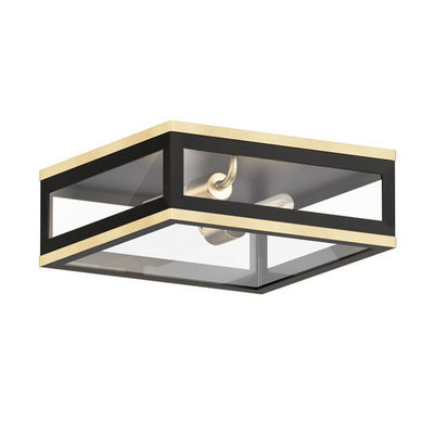 Steel Two Tone Frame with Clear Glass Diffuser Outdoor Flush Mount
