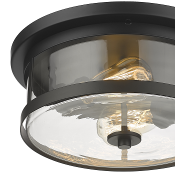 Steel Round Frame with Clear Glass Shade Flush Mount