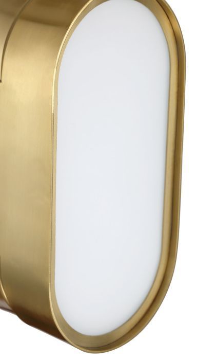 LED Steel Oval Frame with White Frosted Glass Shade Wall Sconce