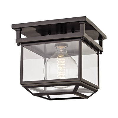 Steel Caged Frame with Clear Glass Shade Flush Mount