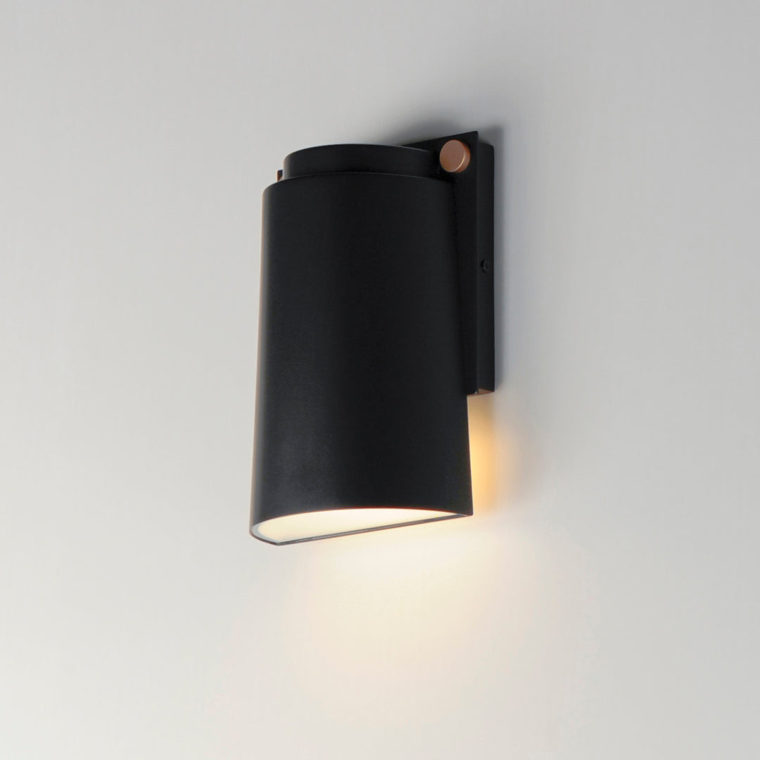 LED Black with Antique Brass Frame with Acrylic Diffuser Outdoor Wall Sconce