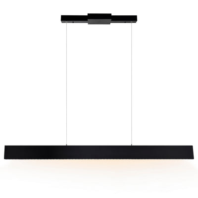 LED Black Frame with Spot Linear Pendant