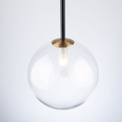 Matte Black and Brass Finish with Clear Glass Globe Pendant