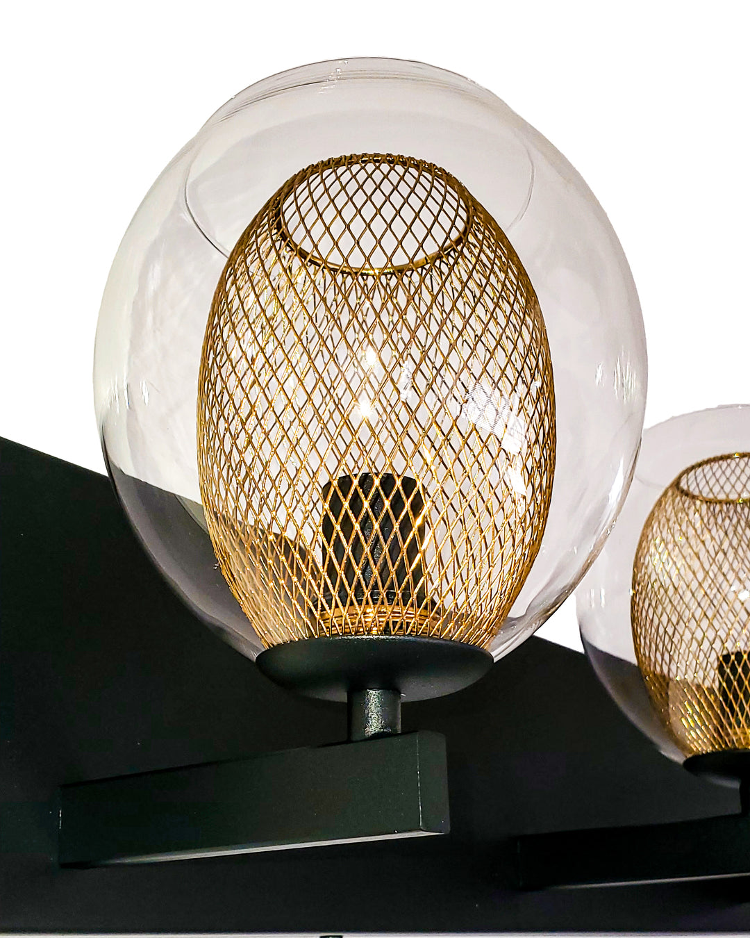 Black Frame with Clear and Gold Mesh Shade Vanity Light