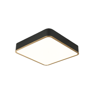 LED Steel Two Tone Frame with Acrylic Diffuser Flush Mount