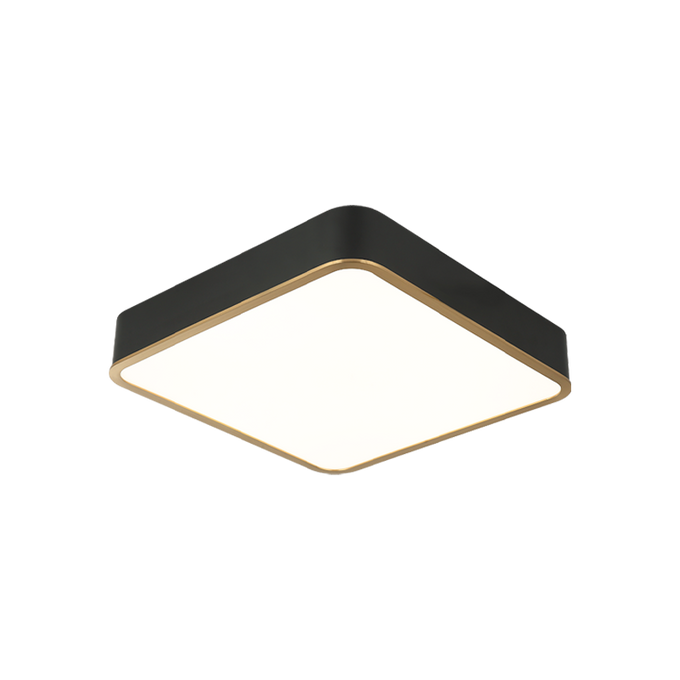 LED Steel Two Tone Frame with Acrylic Diffuser Flush Mount