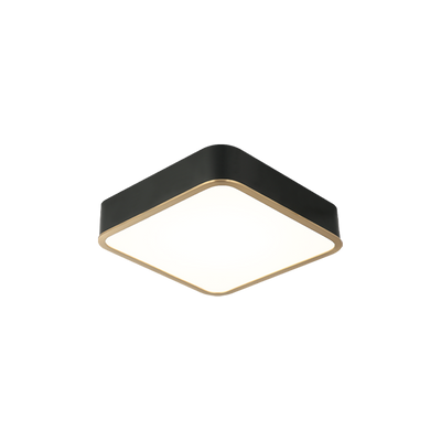 LED Steel Two Tone Frame with Acrylic Diffuser Flush Mount