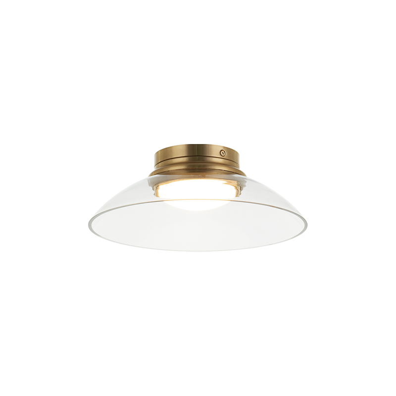 LED Steel Frame with Glass Shade Semi Flush Mount
