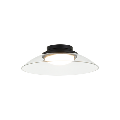 LED Steel Frame with Glass Shade Semi Flush Mount
