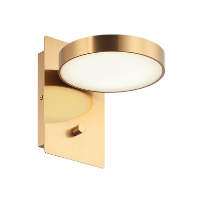 LED Steel Frame with Acrylic Diffuer Wall Sconce