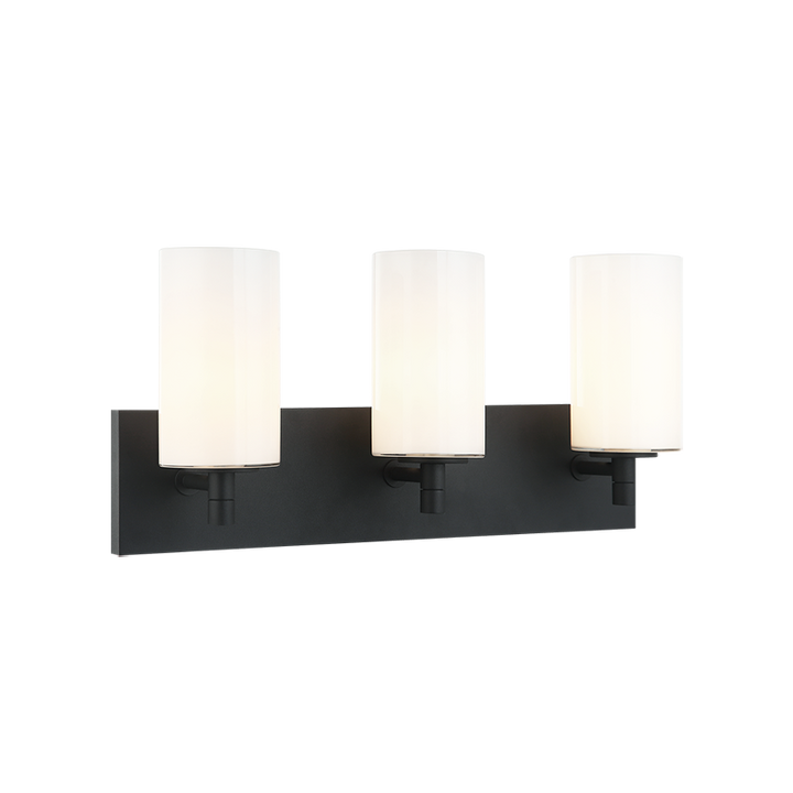 Steel Frame with Cylindrical Glass Shade Vanity Light