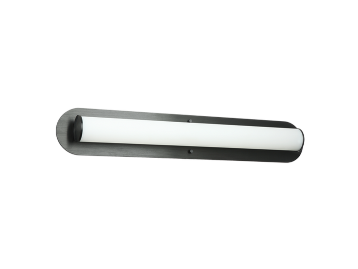 LED Steel Frame with White Glass Diffuser Vanity light