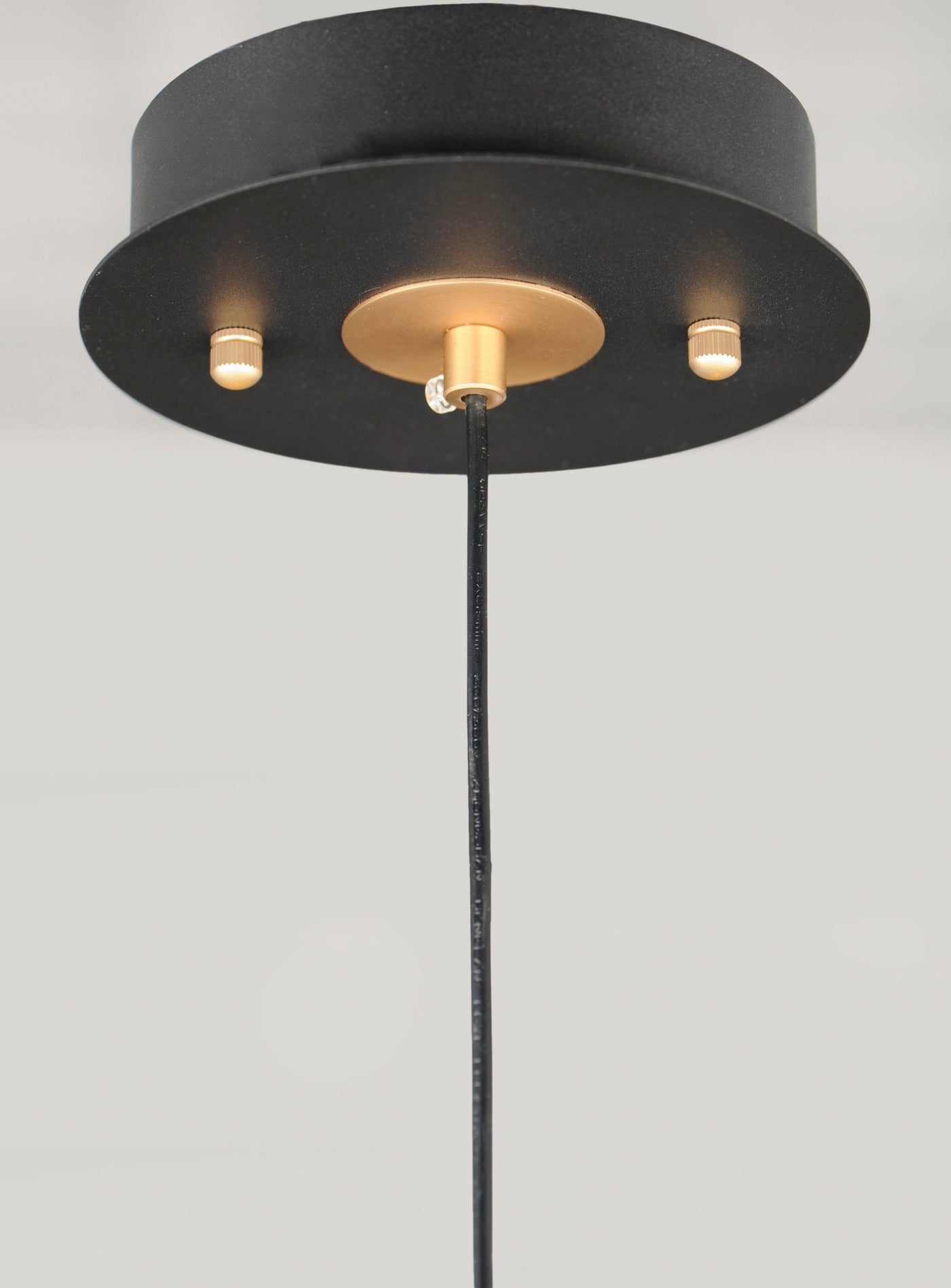 LED Black and Gold with Clear Apple Shaped Glass Single Light Pendant - LV LIGHTING