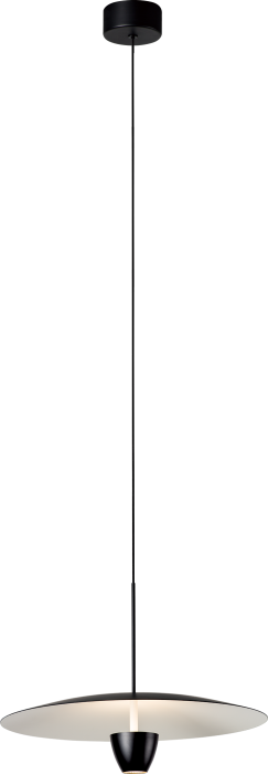 LED Matte Black Shade with Acrylic Diffuser Pendant