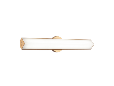 LED Steel Frame with White Glass Diffuser Vanity Light