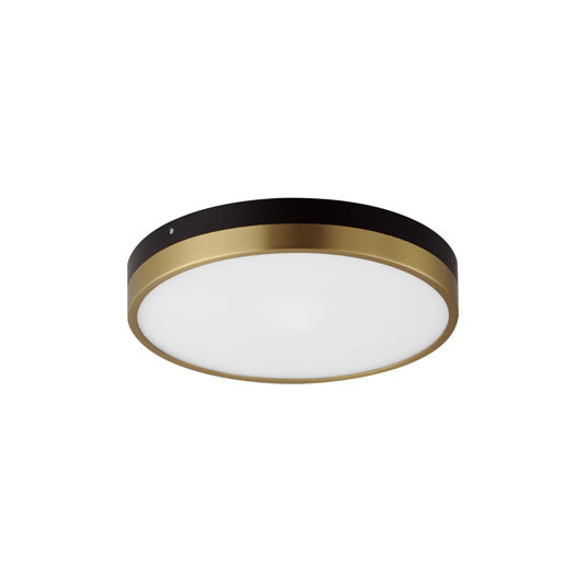 Black and Antique Brass Ring Frame with Acrylic Diffuser Flush Mount