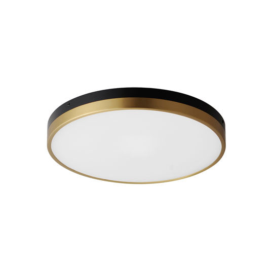 Black and Antique Brass Ring Frame with Acrylic Diffuser Flush Mount