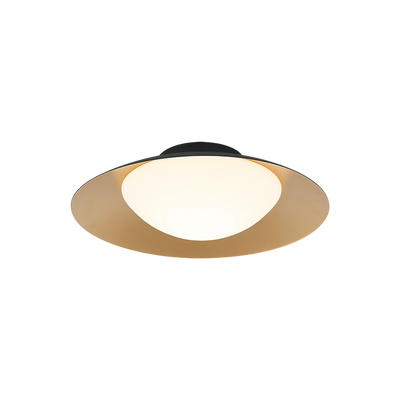 LED Black and Brass Frame with Opal Glass Shade Semi Flush Mount