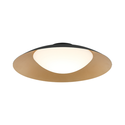 LED Black and Brass Frame with Opal Glass Shade Semi Flush Mount