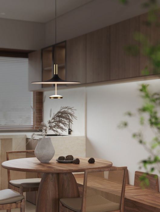 LED Antique Brass and Onyx Black Frame with Acrylic Diffuser Pendant