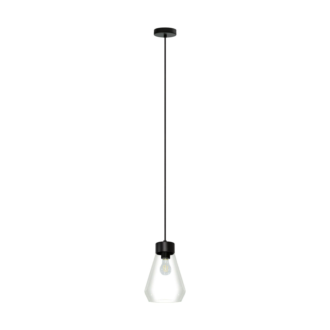 Black with Clear Glass Shade Single Light Pendant - LV LIGHTING