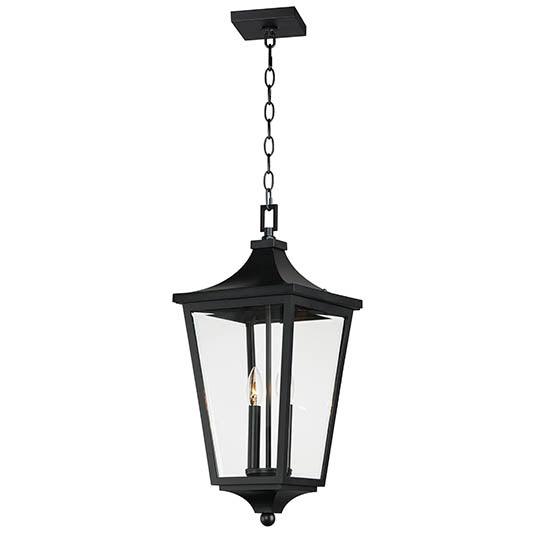 Black EPMM Vivex Frame with Clear Glass Outdoor Pendant - LV LIGHTING