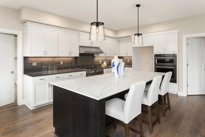 Steel with Clear Glass Shade Pendant - LV LIGHTING