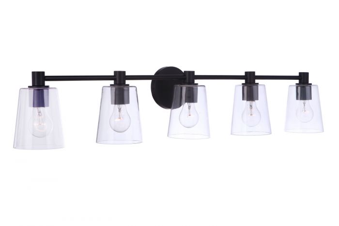 Steel Frame with Clear Glass Shade Vanity Light