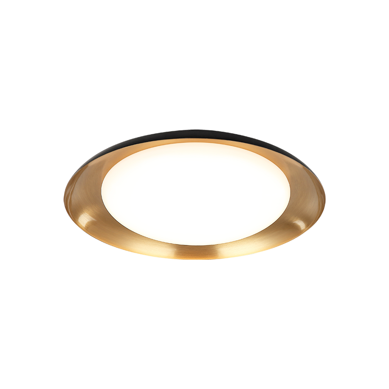 LED Steel Disk Frame with White Acrylic Diffuser Flush Mount