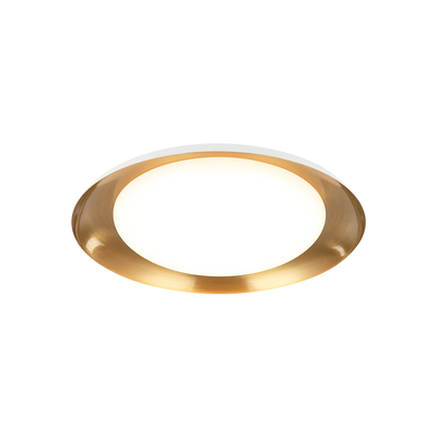 LED Steel Disk Frame with White Acrylic Diffuser Flush Mount