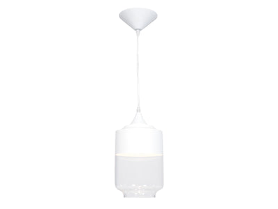 Steel Frame with Clear Glass Shade Pendant