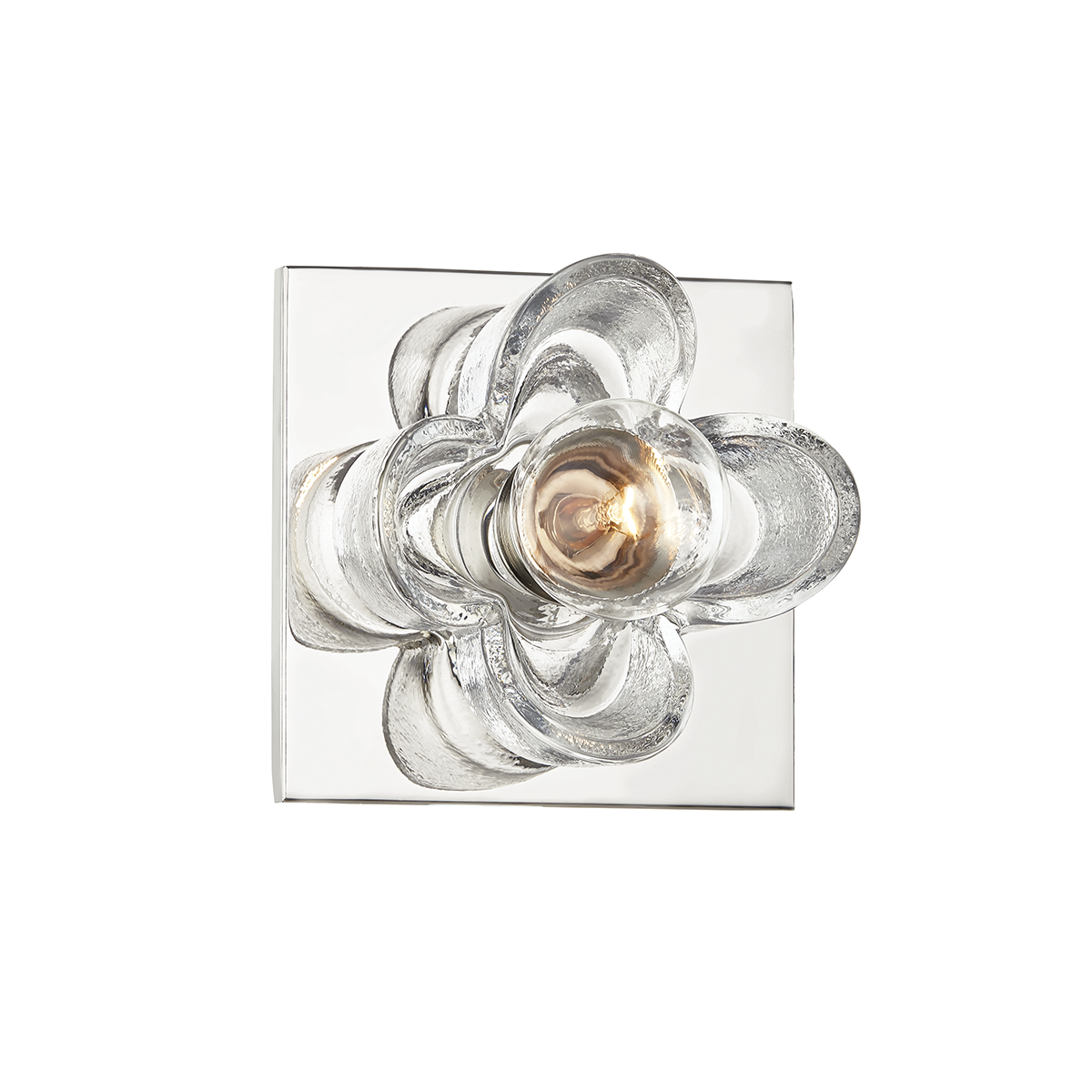 Steel Frame with Clear Blossom Glass Shade Wall Sconce