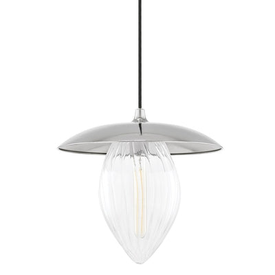 Steel Frame with Clear Glass Shade Pendant