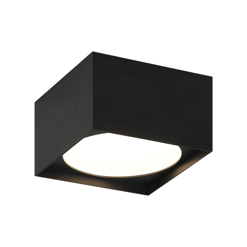LED Steel Box Frame with Opal Glass Diffuser Flush Mount
