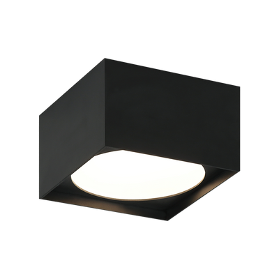 LED Steel Box Frame with Opal Glass Diffuser Flush Mount