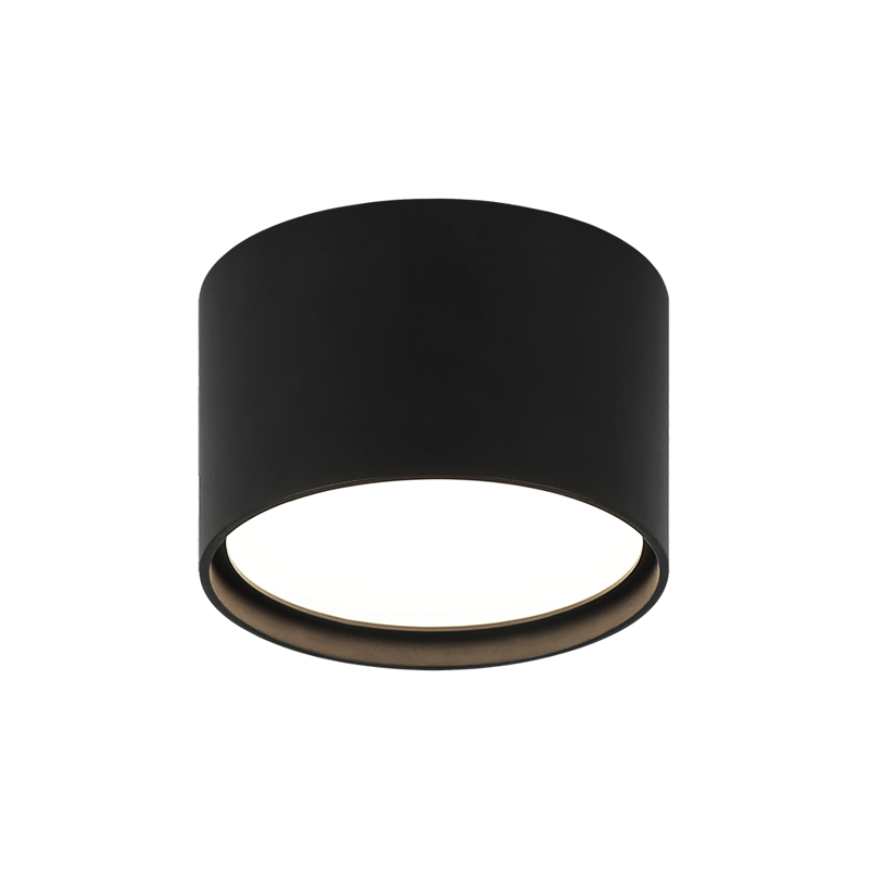 LED Steel Cylindrical Frame with Opal Glass Diffuser Flush Mount