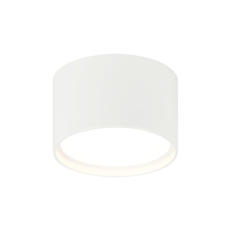 LED Steel Cylindrical Frame with Opal Glass Diffuser Flush Mount