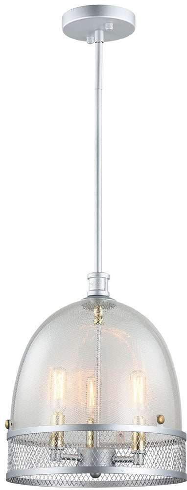 Steel Mesh Frame with Clear Glass Shade Pendant