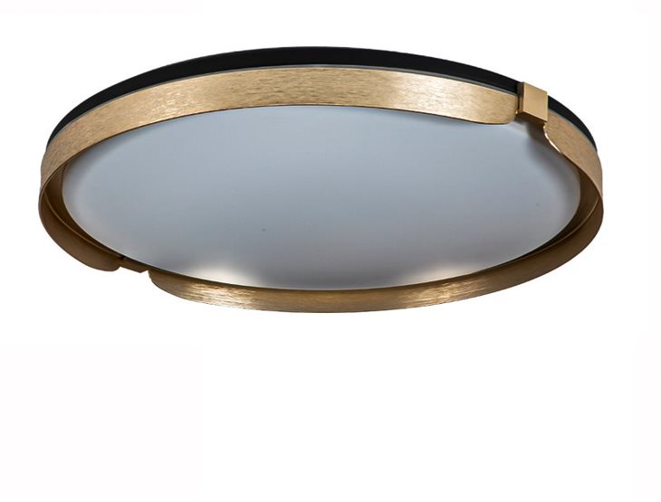 LED Black and Gold Frame with Acrylic Diffuser Flush Mount
