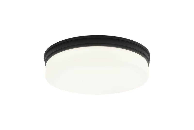 LED Steel Frame with Opal Glass Shade Flush Mount