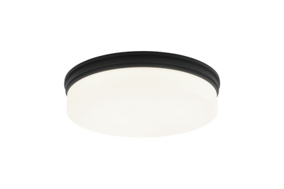 LED Steel Frame with Opal Glass Shade Flush Mount